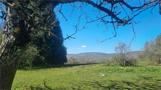 Randonnée  - Bohas et la Vallée du Suran_Bohas-Meyriat-Rignat - scalland