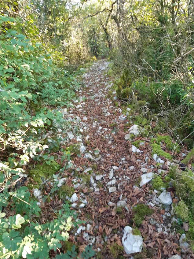 Crête de Montcel - scalland