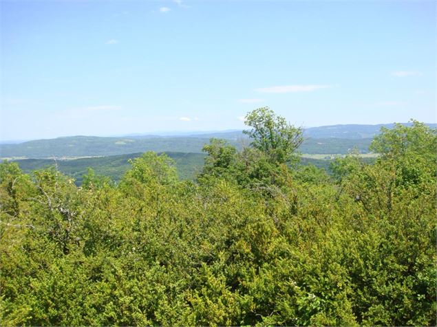 Les Conches - s calland