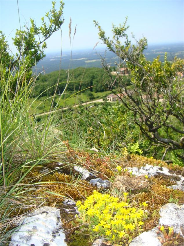 Roche de Cuiron - s calland