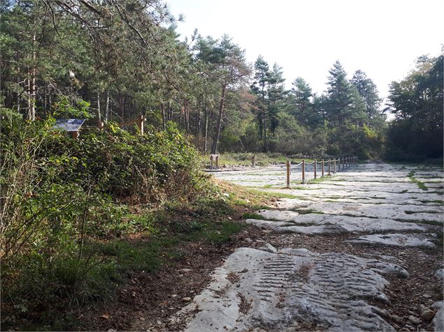 Les chemins de dinosaures de Villette - Balade géologique_Hautecourt-Romanèche - GBA