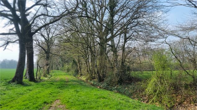 Dompierre sur Veyle et château de Montchamp_Dompierre-sur-Veyle - scalland