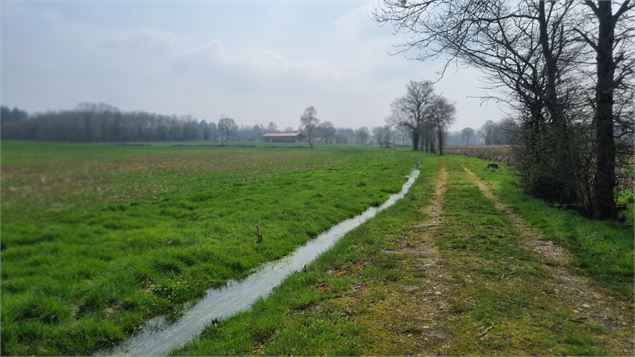 Dompierre sur Veyle et château de Montchamp_Dompierre-sur-Veyle - scalland