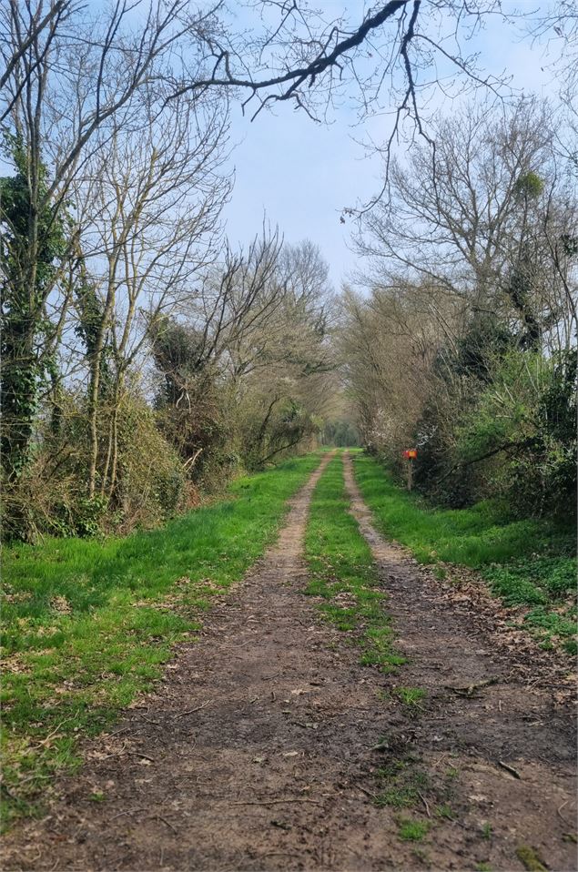 Dompierre sur Veyle et château de Montchamp_Dompierre-sur-Veyle - scalland