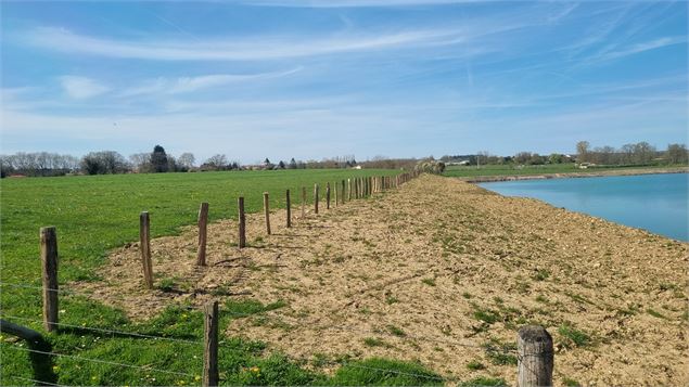 Certines et le château de Genoud - scalland