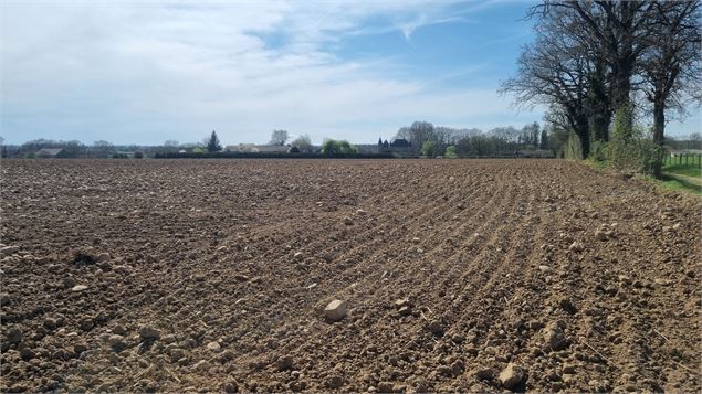 Certines et le château de Genoud - scalland