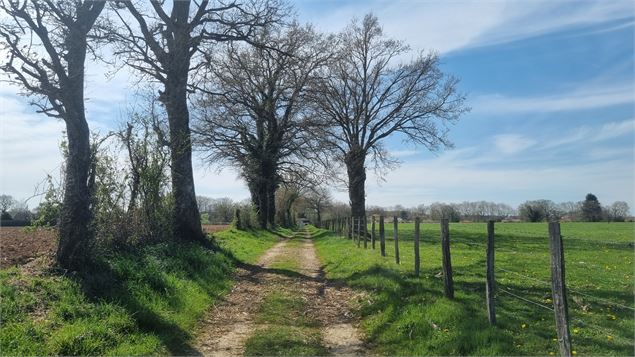 Certines et le château de Genoud - scalland