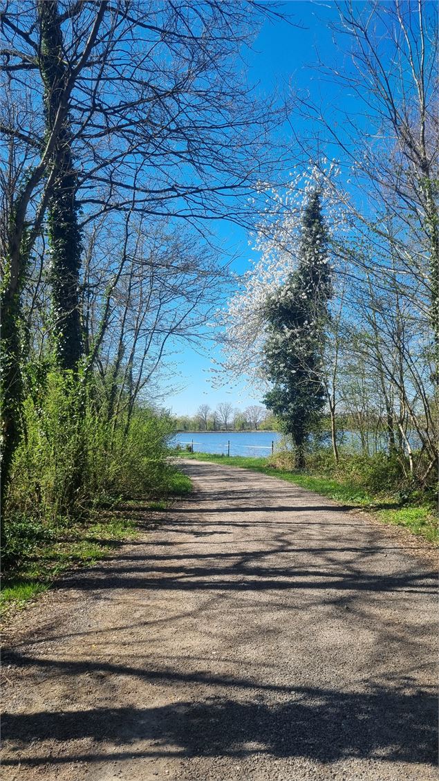 Randonnée - Servas et les étangs de la Carronnière_Servas - scalland