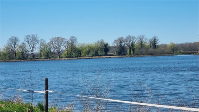 Randonnée - Servas et les étangs de la Carronnière_Servas - scalland