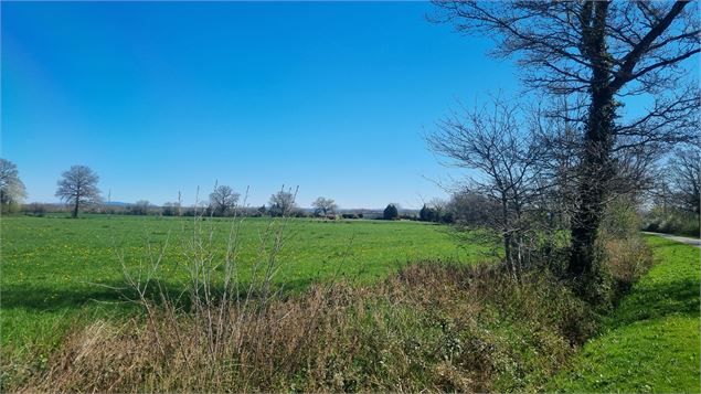 Randonnée - Servas et les étangs de la Carronnière_Servas - scalland