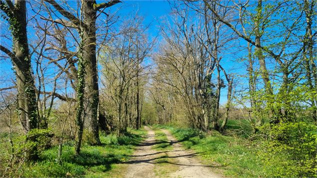 Randonnée - Servas et les étangs de la Carronnière_Servas - scalland