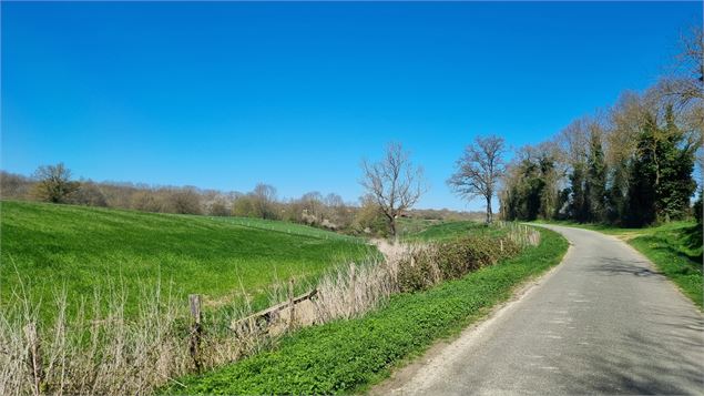 Balade  - Domaine de Cuiset et le Vieux Jonc_Saint-André-sur-Vieux-Jonc - scalland