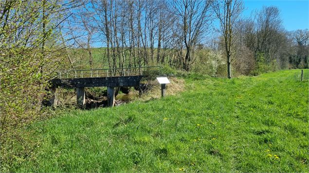Balade  - Domaine de Cuiset et le Vieux Jonc_Saint-André-sur-Vieux-Jonc - scalland