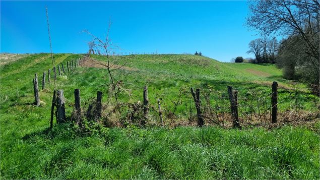 Balade  - Domaine de Cuiset et le Vieux Jonc_Saint-André-sur-Vieux-Jonc - scalland