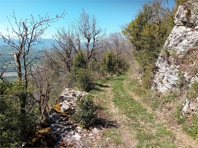 Sentier Vers le Gralley - Christophe Maurel