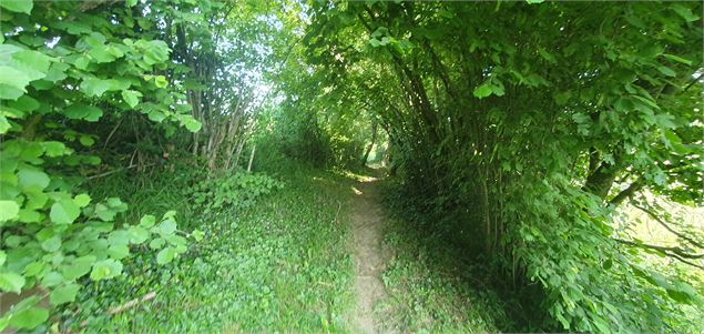 Balade - Moulins de Polliat - GBA