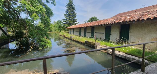 Balade - Moulins de Polliat - GBA