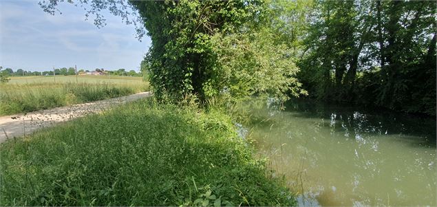 Balade - Moulins de Polliat - GBA