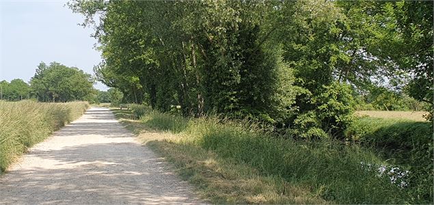 Balade - Marais de Molière et de Vial - GBA