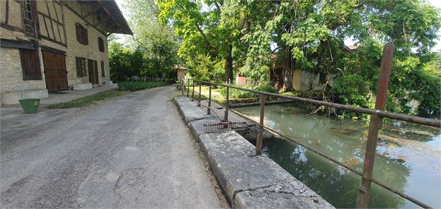 Balade - Entre La Veyle et l'Irance - GBA