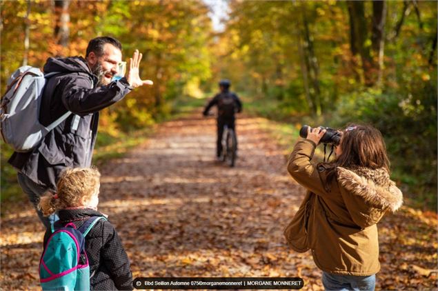La forêt domaniale de Seillon_Péronnas - OTBBD