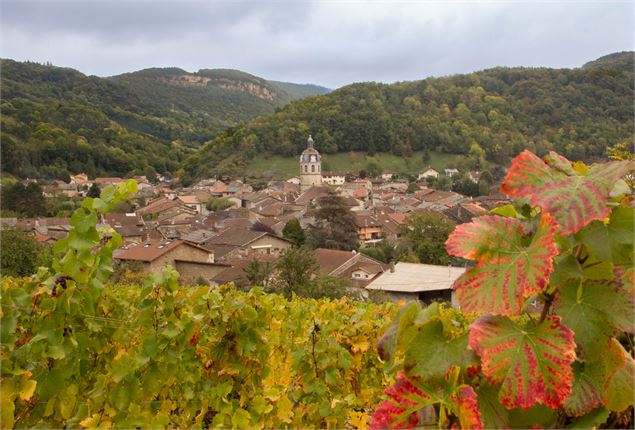Vaux-en-Bugey - Marilou Perino
