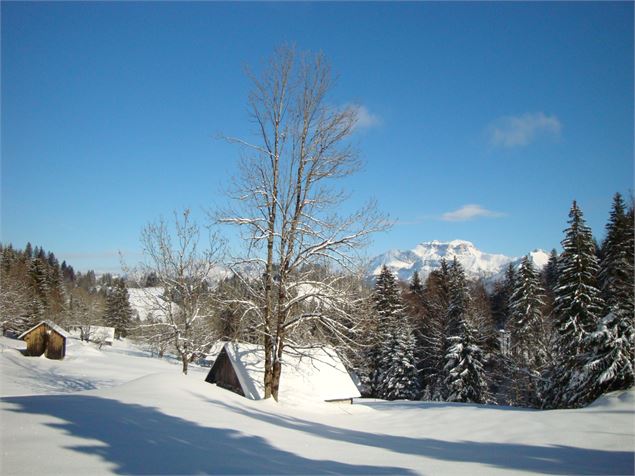 Vers le col de la Frasse - N. Tissot