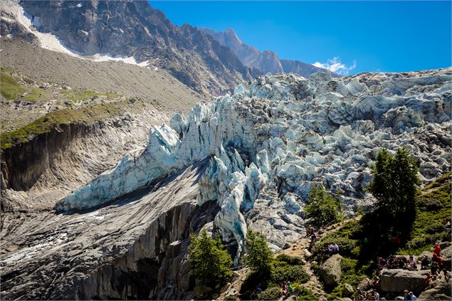 Glacier d'Argentière - Morgane Raylat