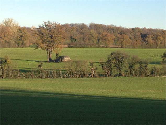 Pierre Brune - Romain Cavallero