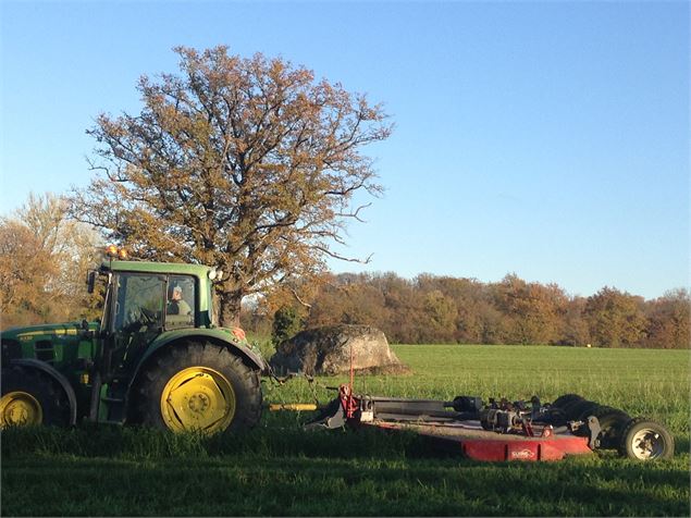 Pierre Brune - Romain Cavallero