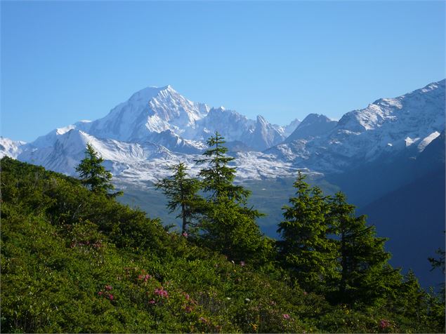 Vue sur le Mont Blanc
