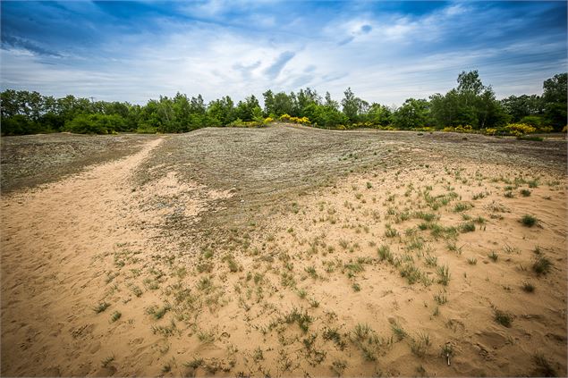 Dunes de sable sur le site des dunes des Charmes à Sermoyer - Anthony Joubert-Laurencin