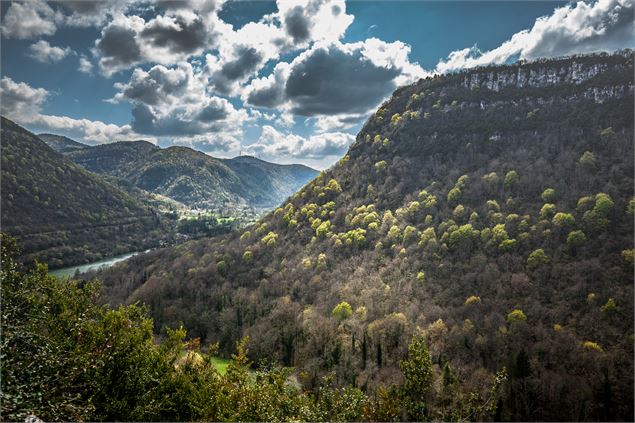 Vallée de l'Ain, vue de la reculée