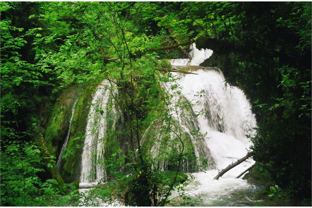 Reculée de Corveissiat