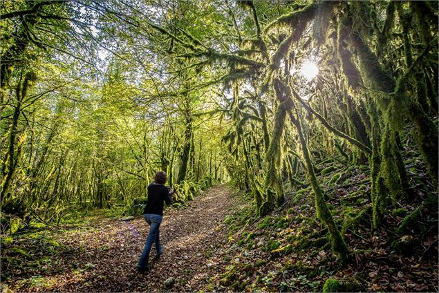 Rivière et lac Val dOignin - Mélanie Poirson