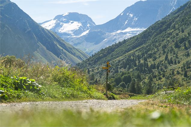 Vallon de Champagny Le Haut_Champagny-en-Vanoise - Nomad Photographie 2020