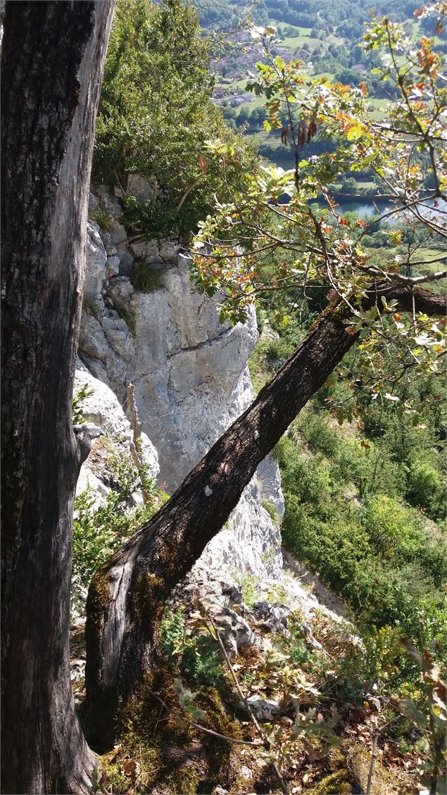 Roches du Jarbonnet - Sébastien CALLAND