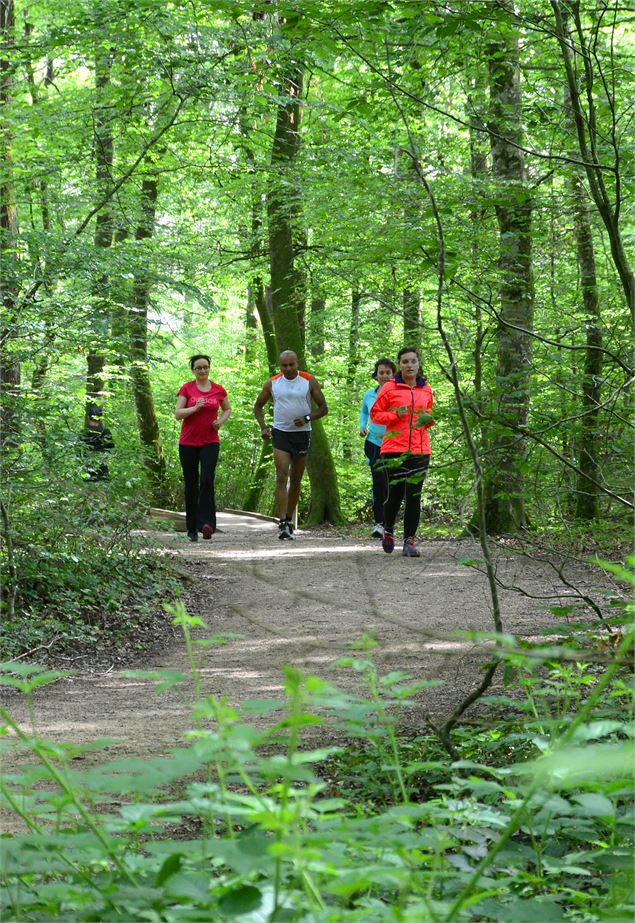 Seillon_credit Serge Buathier - foret-seillon_credit GT OTBBA (35)