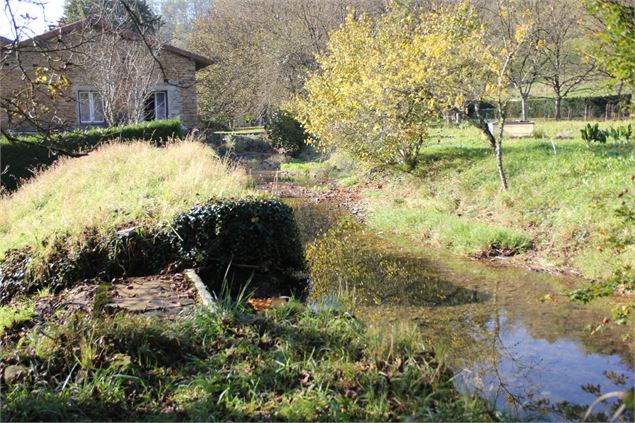 Ruisseau de Salavre - Calland Sébastien