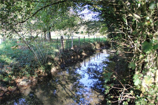 Ruisseau de Salavre - Calland Sébastien