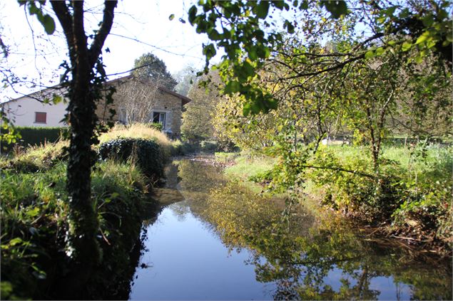 Ruisseau de Salavre - Calland Sébastien