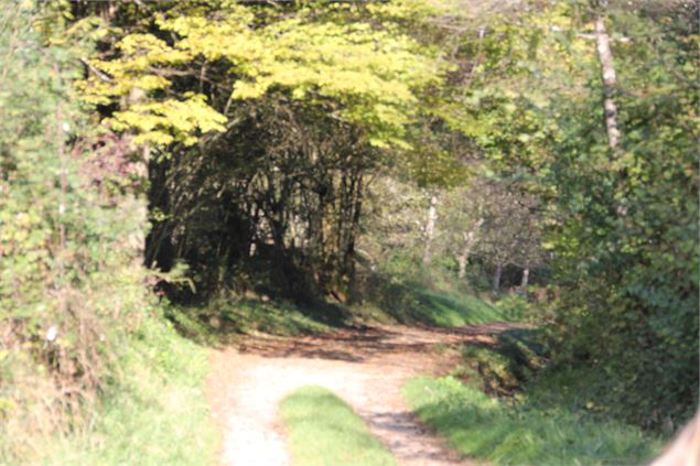 chemin à Salavre - Calland Sébastien