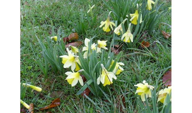 Plateau de Vergongeat