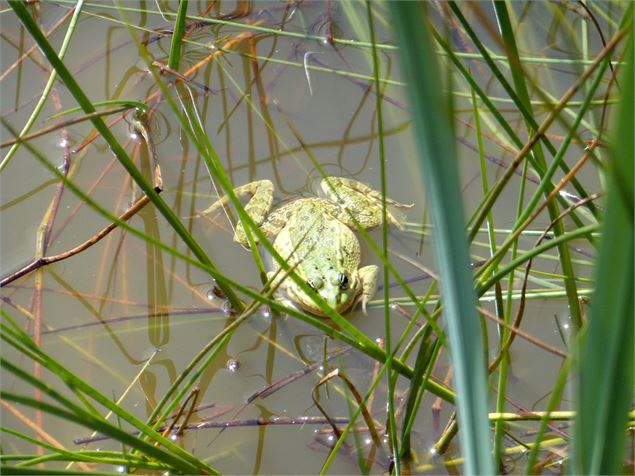  - association Arbres et Nature