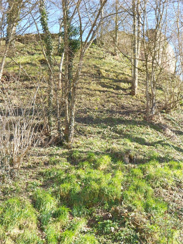 Poype de Villars les Dombes - Dombes Tourisme