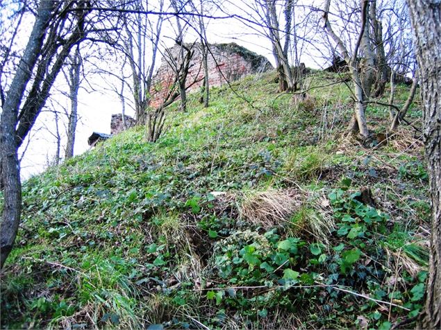 Poype de Villars les Dombes - Dombes Tourisme