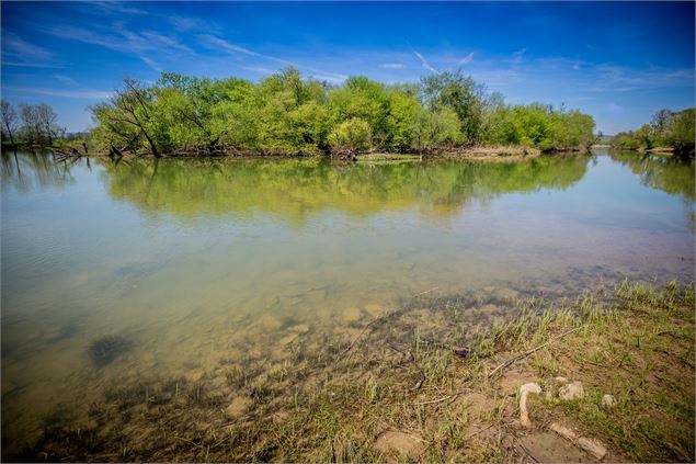 île de la Motte, avril 2018 - Anthony Joubert-Laurencin