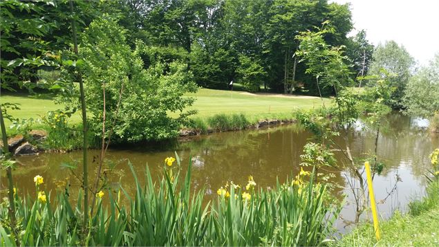 Trou green n°7 bis du Golf de Bourg en Bresse - Golf de Bourg-en-Bresse