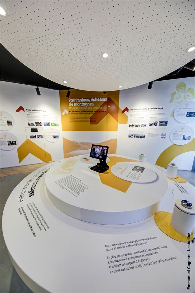 Tremplin 92 - Montagne & Olympisme - Sabrina Viguet-Carrin