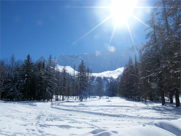 piste de ski de fond et piétons - Célia Lécuru